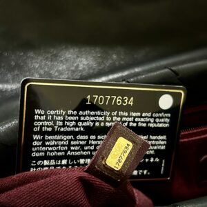 Chanel turn lock iridescent chevron - immagine 13